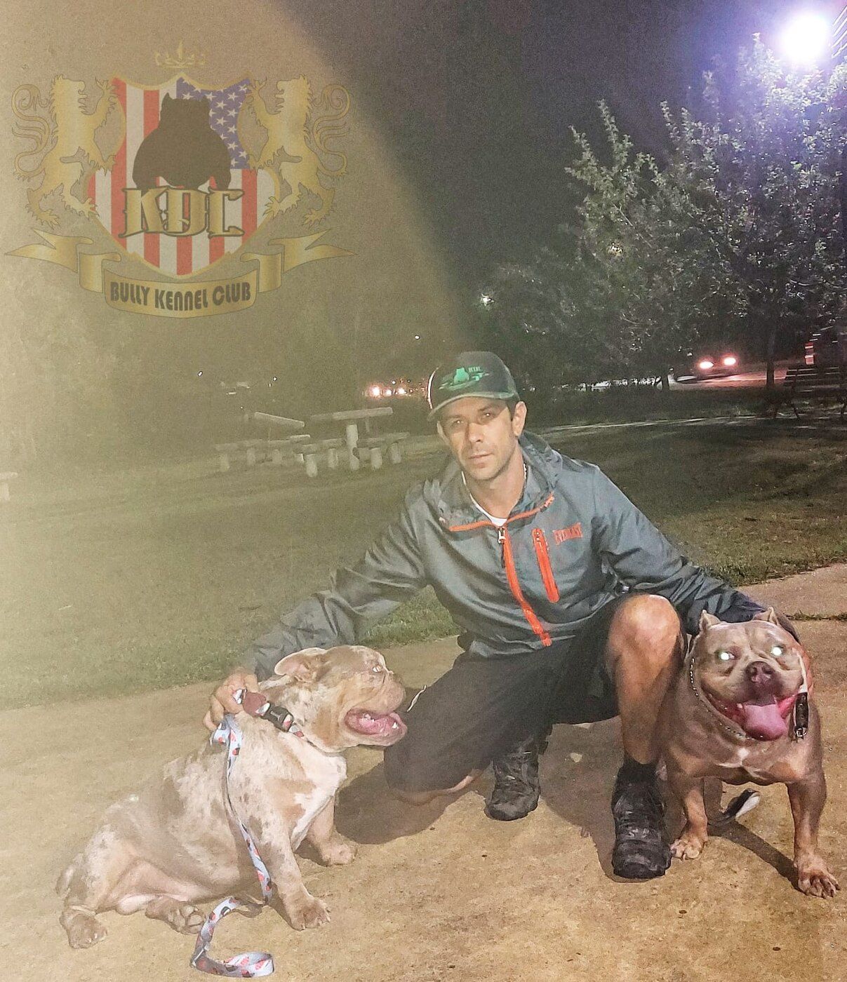 Passeio noturno com os adultos — Canil KDC, Nova Friburgo