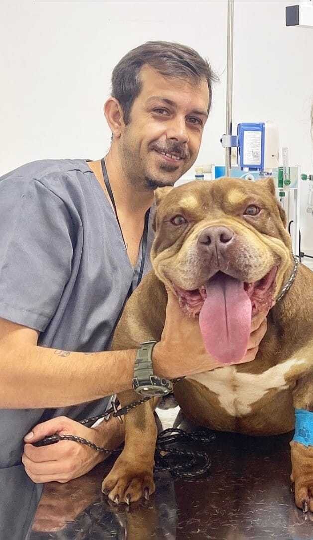Acompanhamento veterinário — Canil KDC, Nova Friburgo