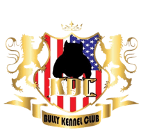 Canil KDC - Nova Friburgo